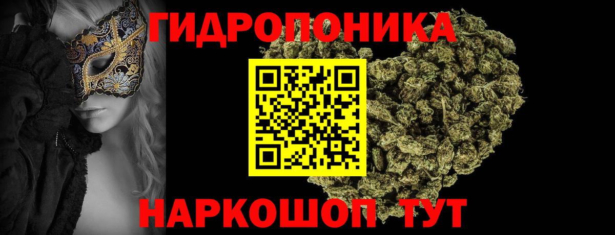 Каннабис OG Kush Дивногорск